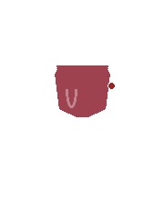 Vecchia Cantina Chianti DOCG 2019